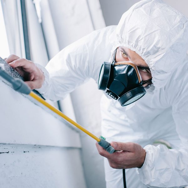 pest-control-worker-in-respirator-spraying-pestici-2021-08-29-22-51-53-5GL7KCT